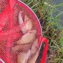 논산 주유소 이미지