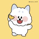 [일상] 10월 넷째주 일상