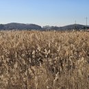 DMZ 평화의 길 3코스 이미지