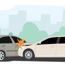 바를추한방병원 이미지