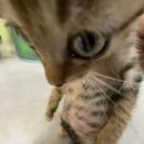 강남 세븐호스텔 | 챌린지 모드💪