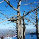 덕유산이야기 이미지