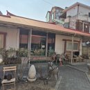 원조대추나무집 | 청주 서운동 숨은 맛집｜토종닭 닭도리탕이 끝내주는 대추나무집 솔직 후기(내돈내산)