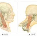 신성한의원 이미지