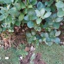 미화농장 이미지