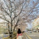 탄천 죽전삼거리 이미지