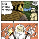 선녀와 나무꾼 이미지