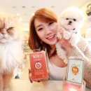 주식회사 모드셀 이미지