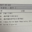 톰과 제니 동물메디컬센터 이미지