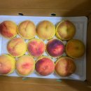 월광농원 이미지