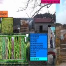 금란농장 이미지