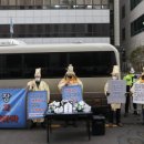 민주당구장 이미지