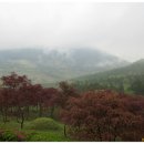 만연스크랩 이미지