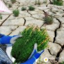 에덴생활건강 이미지