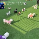 우리집첫째 양산점 이미지