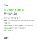 스타일 멍멍 네이버블로그