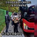 인천대정초등학교 이미지