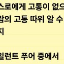일드 사일런트 푸어 이미지