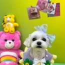 개운한날 이미지