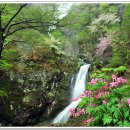 자연-어울림 이미지