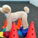 (주)메트워크 이미지