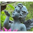 강원도립화목원 이미지