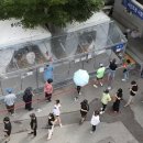 청년유흥주점 이미지
