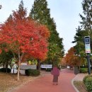 오정대공원 이미지