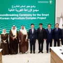 12월 이미지