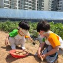 달콤농장 - 전주시 완산구 노송여울1길 5 | 달콤농장