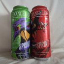 GS25 연산실버점 | GS25 스프린트 에반게리온 콜라보 음료 내돈내산 구매 후기