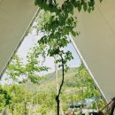 비앤비(B&B)주식회사 네이버블로그