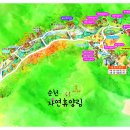 순천자연휴양림 이미지