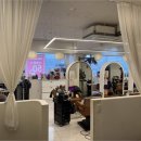 헤어볼하우스 이미지