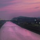 핑크덕후 이미지