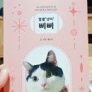말괄냥이 | 추천) 말괄&#39;냥이&#39; 삐삐 책 리뷰