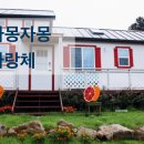 자몽자몽&사랑채