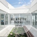 공간디자인오르토 - 8357 | 공간디자인오르토