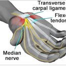 정성치유한의원 이미지