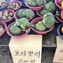 보리에 베이커리 앤 델리 이미지