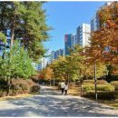 마곡제일공인중개사사무소 이미지