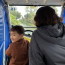 주호타워 | 오키나와 1월 5살 아이랑 코우리섬도 다녀오고 맛있는 밥도 먹었다..!