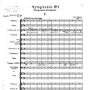 Sibelius Symphony No.1