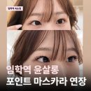 인천 계양구 윤살롱 무드래쉬 포인트 마스카라 연장 후기 + 전후 비교 대만족