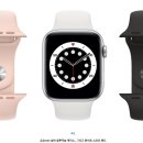 화이트 스포츠 이미지