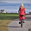 서울정신요양원 | [경기도 용인시 요양원 요양병원 추천, 가격, 장소] 서울시립영보정신요양원 신뢰할 수 있는 요양...