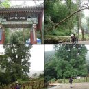 용문산관광지(주차장화장실) 이미지