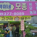 혁이네모종 이미지