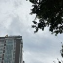 아크로약국 | 창원상남동왁싱 잘하는 곳 원드뷰티 왁싱속눈썹 창원점