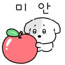 그레이스투어 이미지